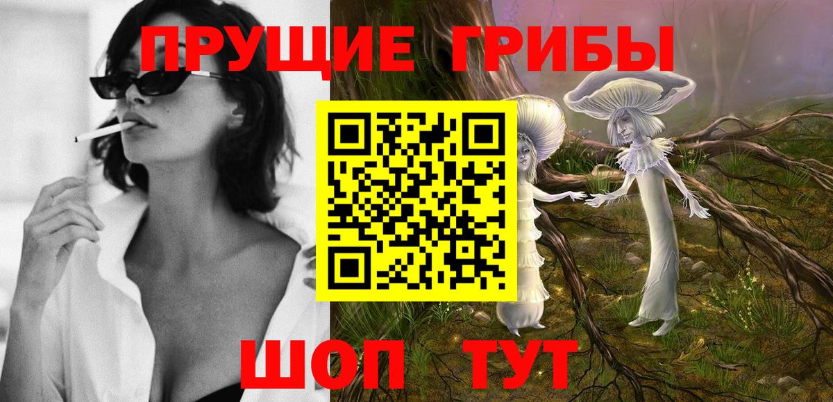 как найти наркотики  Псилоцибиновые грибы ЛСД  Ейск  Вход с VPN  Галлюциногенные грибы Psilocybe 
